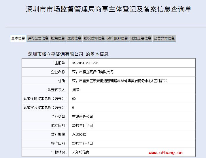 深圳市某某嘉咨询有限公司工商网信息查询展示